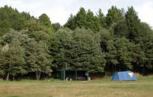 Piropiro Campsite . Pureora Forest Park