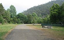 Whangaiterenga Campsite . Coromandel Forest Park and Kauaeranga Valley