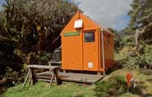 Dracophyllum Hut . Tararua Forest Park