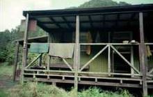 Hanamahihi Hut . Te Urewera