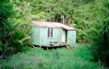 Tangihua Hut . Tangihua Forest