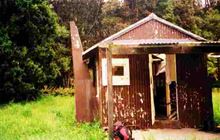 Te Pua Hut . Te Urewera