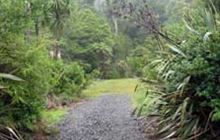 Trestle View Campsite . Coromandel Forest Park and Kauaeranga Valley