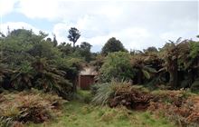 Mangamuka Hut . Kaimai Mamaku Forest Park