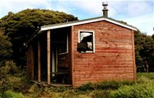 Manuoha Hut . Te Urewera