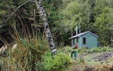 Maropea Forks Hut . Ruahine Forest Park