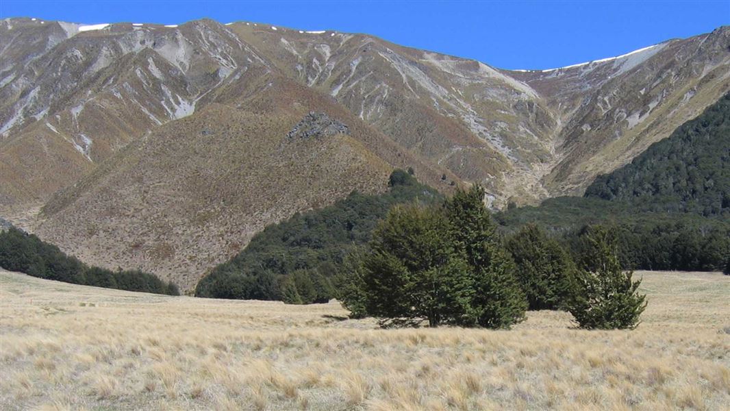 Dingle Burn Track picture New Zealand