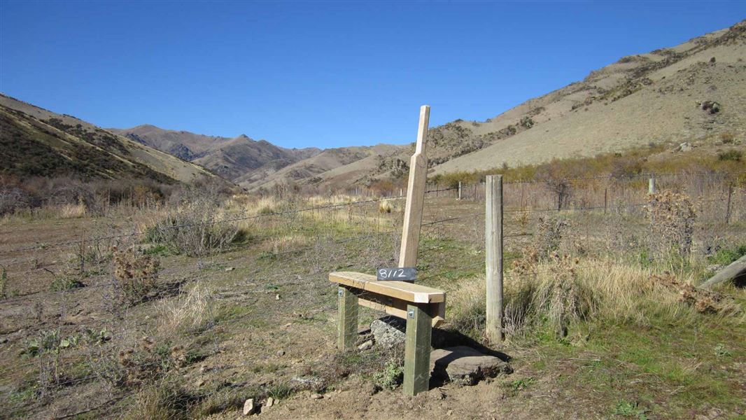 Dry Creek Track picture New Zealand