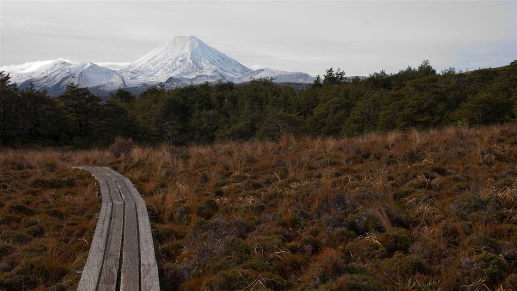 Whakapapaiti Valley Track picture New Zealand