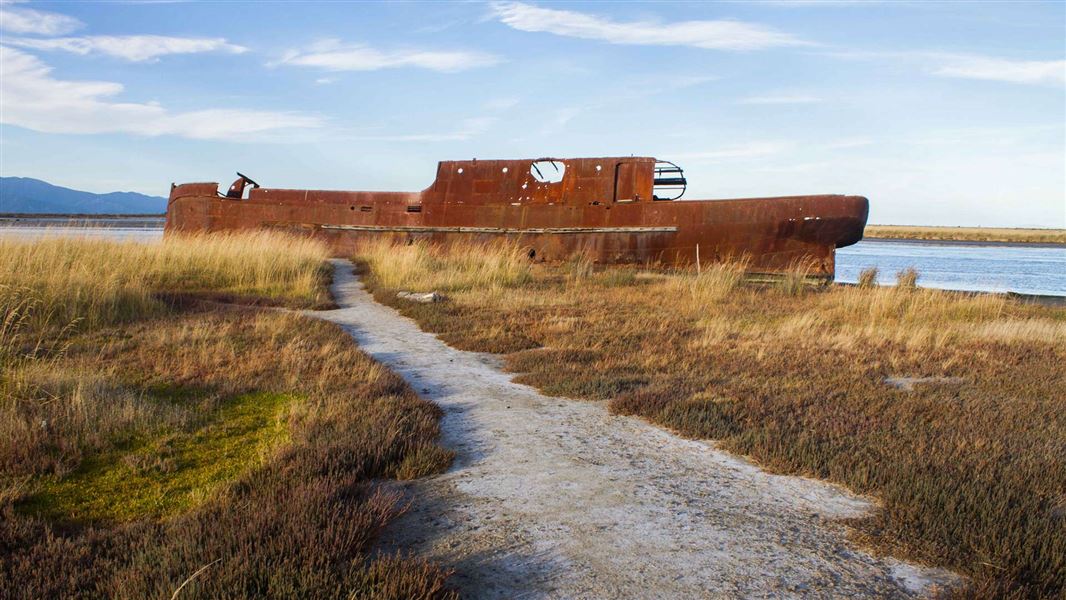 Wairau Lagoons Walkway picture New Zealand