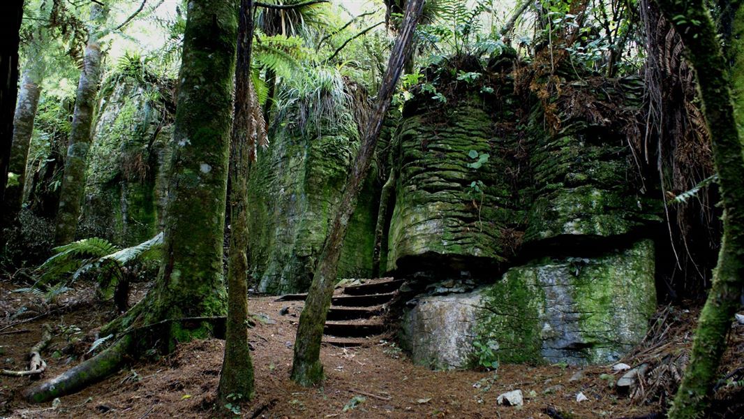 Waitomo Walkway picture New Zealand