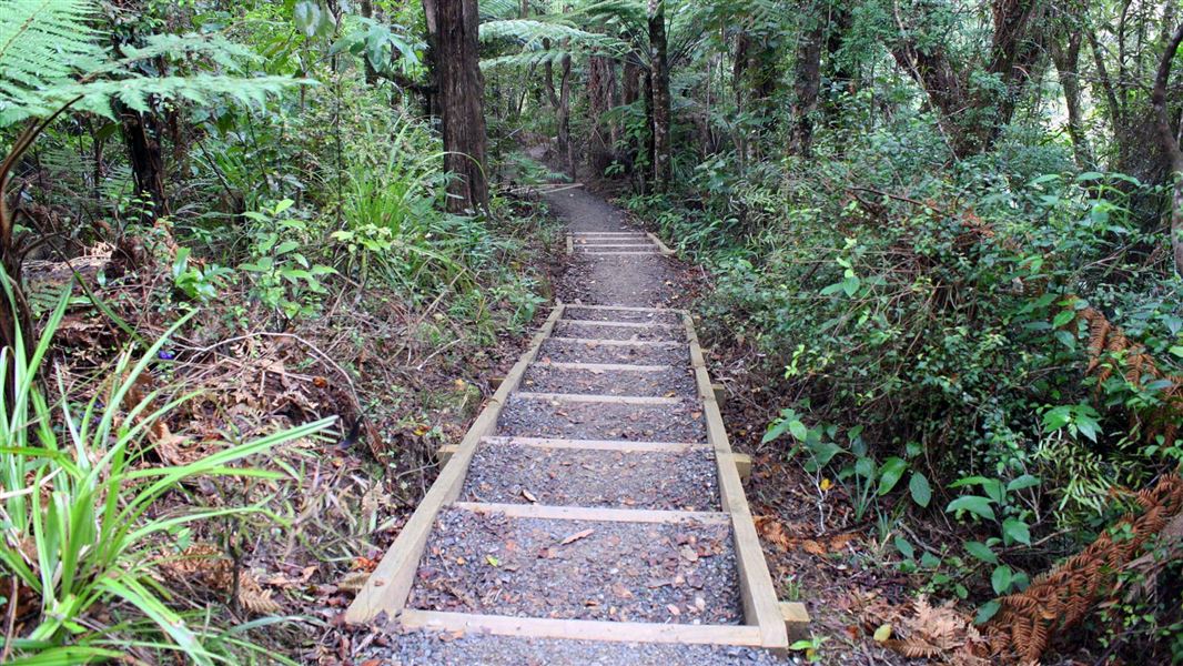 Waterworks Walk picture New Zealand