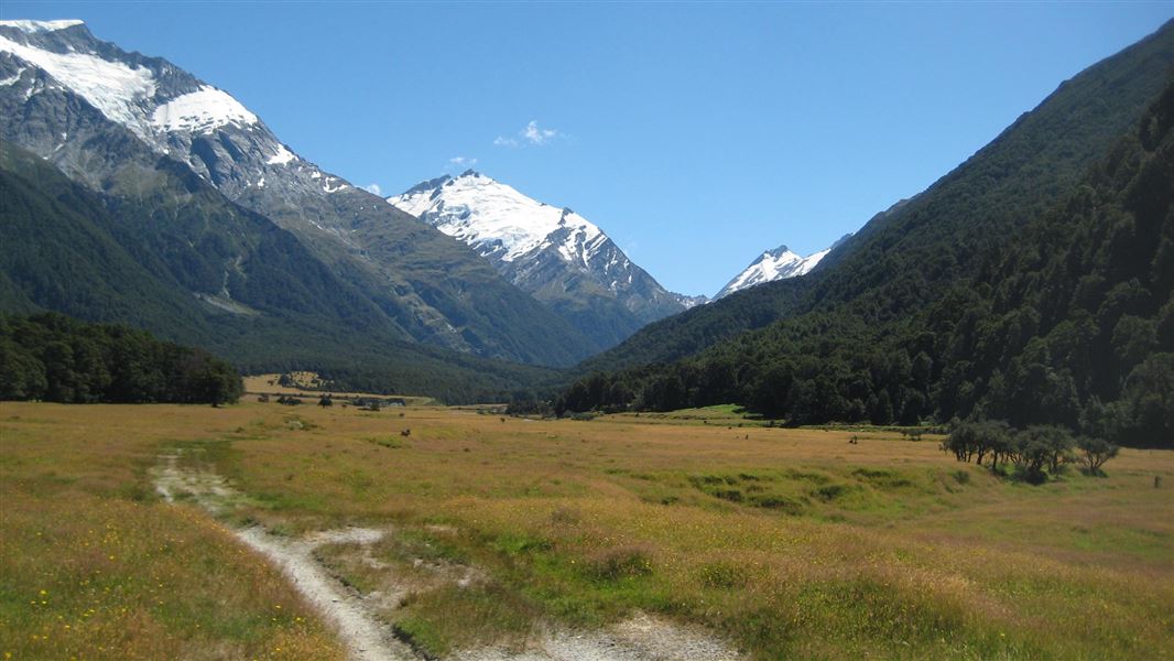 West Matukituki Track picture New Zealand